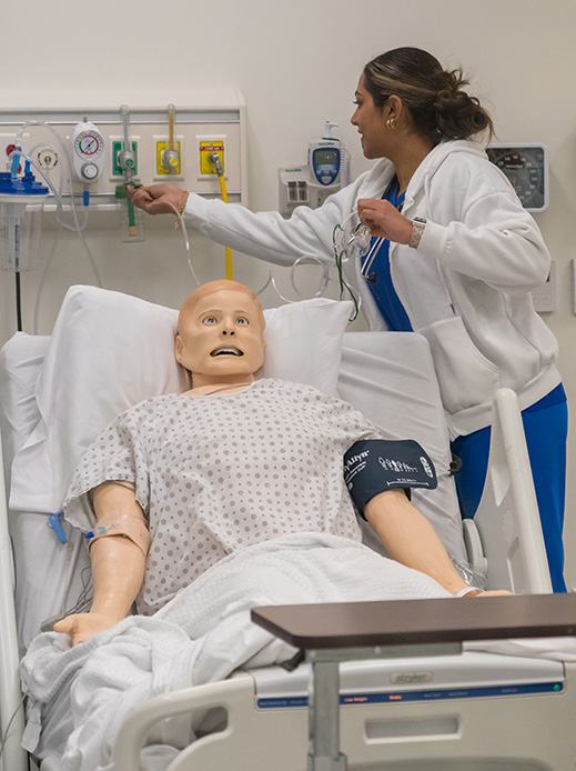 A photo of a simulation model to practice medicine.